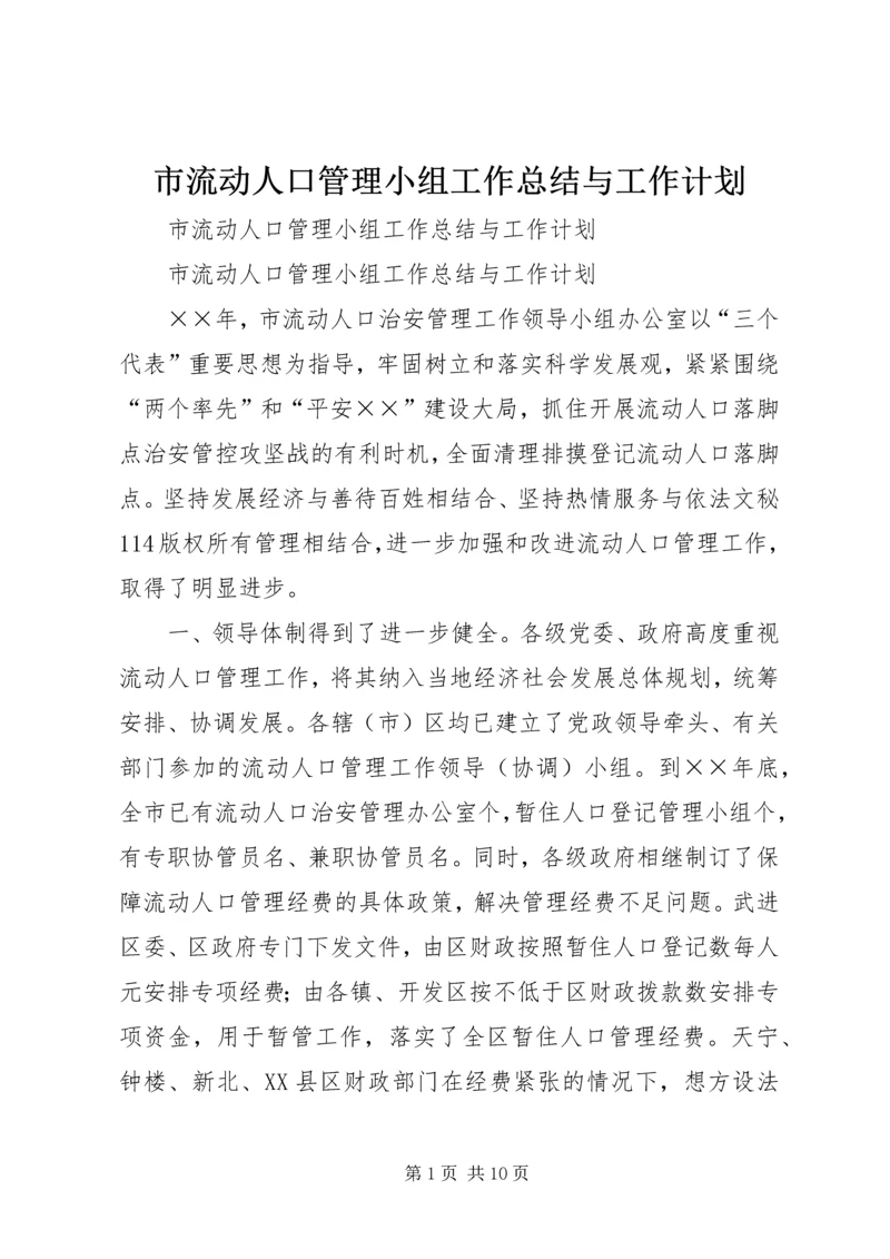 市流动人口管理小组工作总结与工作计划 (4).docx