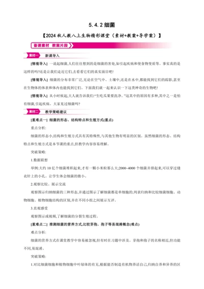 5.4.2细菌【2024秋人教八上生物精彩课堂（素材+教案+导学案）】