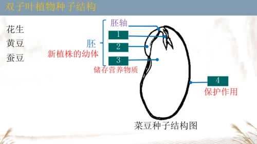 人教版七上2024第二单元复习课件(共20张PPT)