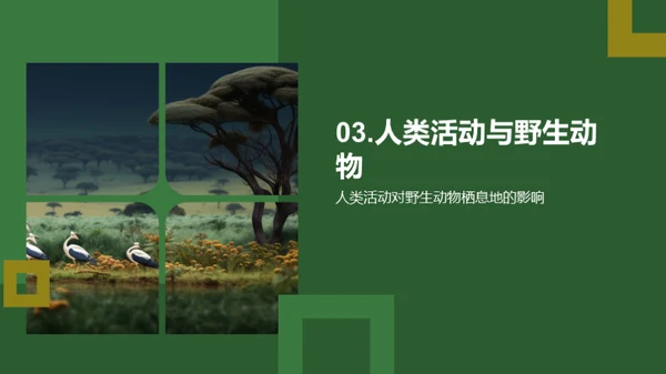 3D风其他行业教学课件PPT模板