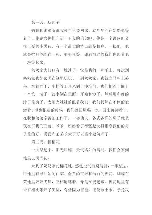 快乐的假日作文.docx
