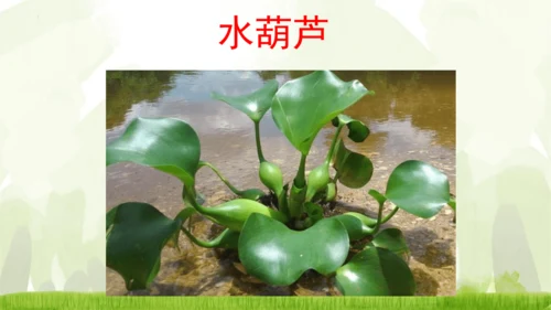 18《童年的水墨画》课件