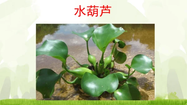 18《童年的水墨画》课件