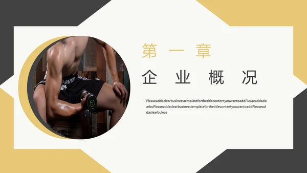 公司项目计划书PPT模板