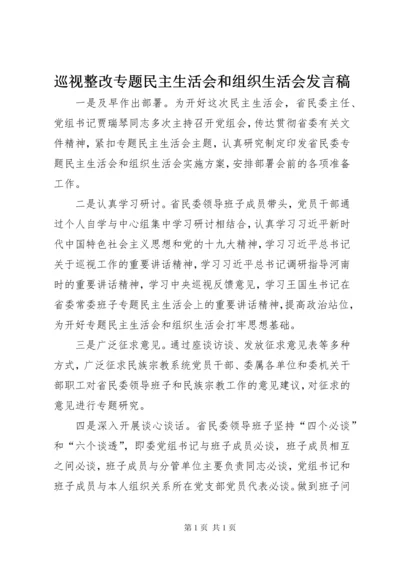 巡视整改专题民主生活会和组织生活会发言稿.docx