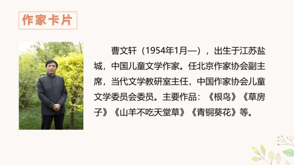 第21课《芦花鞋》（教学课件 ）