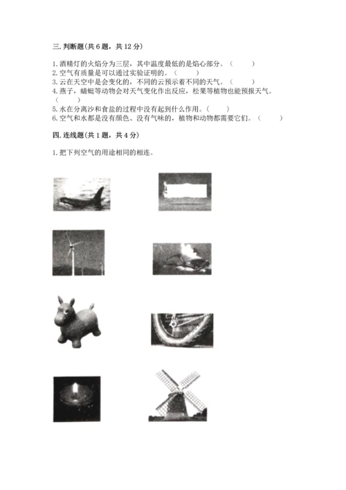 教科版三年级上册科学期末测试卷（夺冠）word版.docx