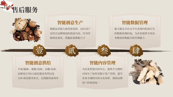 红棕色中医药产品介绍PPT模板