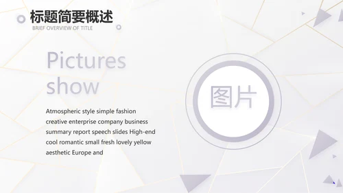 公司品牌策划方案工作总结计划PPT