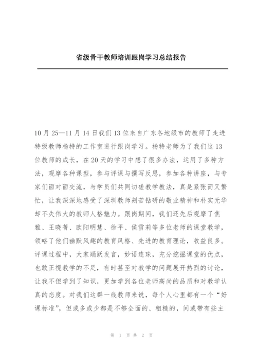 省级骨干教师培训跟岗学习总结报告.docx