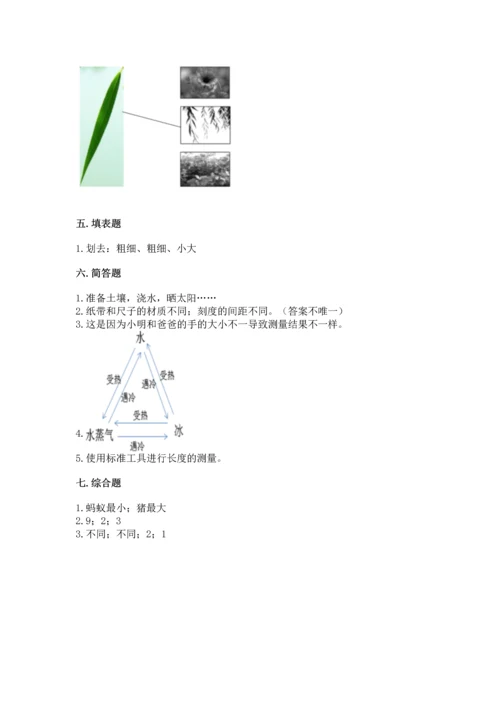 教科版科学一年级上册期末测试卷精品（精选题）.docx