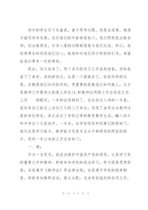 新教师试用期工作总结范文怎么写（10篇）.docx