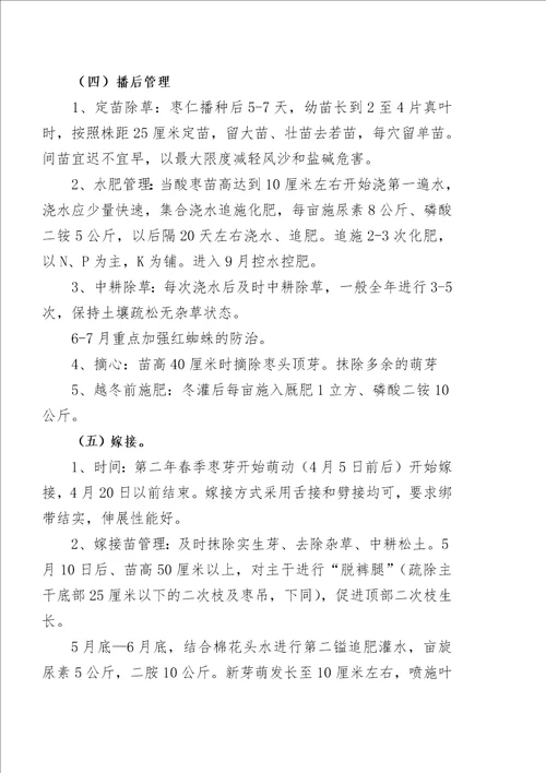 干旱半干旱地区造林绿化技术模式提纲红枣1