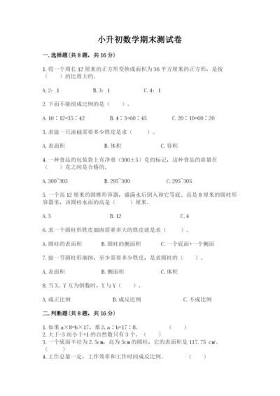 小升初数学期末测试卷及完整答案一套.docx