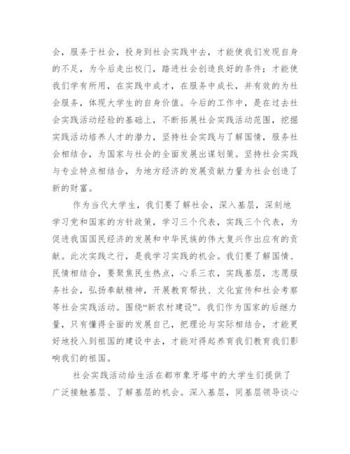 实践报告论文范文.docx