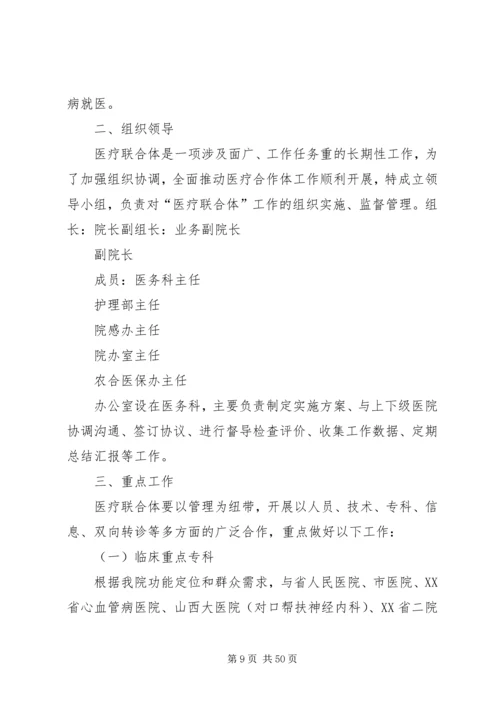 联合体试点工作方案.docx