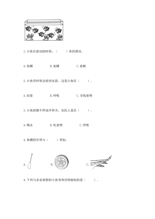 教科版一年级下册科学期末测试卷【能力提升】.docx