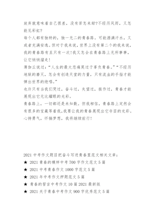 2022中考作文题目把奋斗写进青春里范文.docx