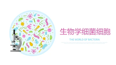 生物学细菌细胞动态PPT