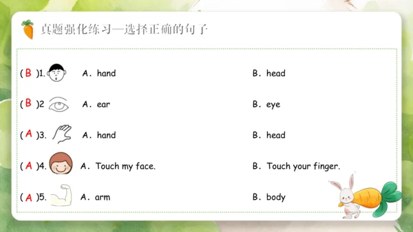 Unit 3 Look at me（复习课件）-2023-2024学年三年级英语上册期末核心考点集训