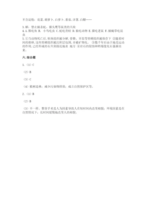 教科版科学六年级下册期末测试卷带答案（考试直接用）.docx