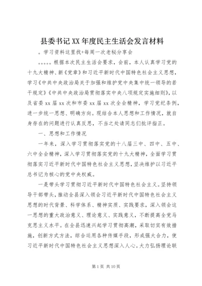 县委书记XX年度民主生活会发言材料.docx