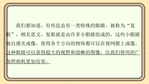 统编版语文六年级上册主题八　科学智慧 阅读与写作指导课件