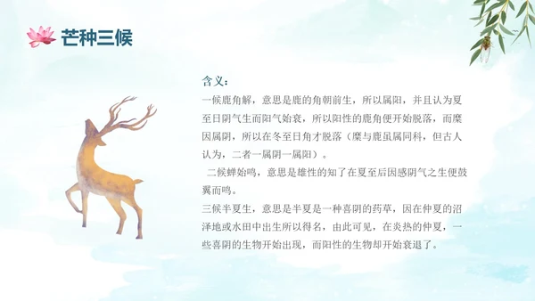 蓝绿色水墨国风夏至二十四节气知识科普PPT
