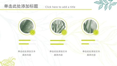 黄绿清新树叶标本PPT模板