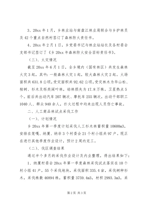 乡镇林业站上半年工作总结.docx