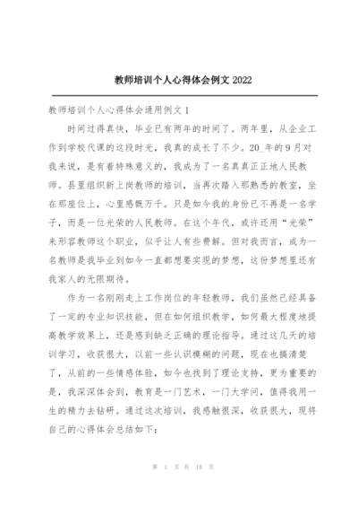 教师培训个人心得体会例文2022.docx