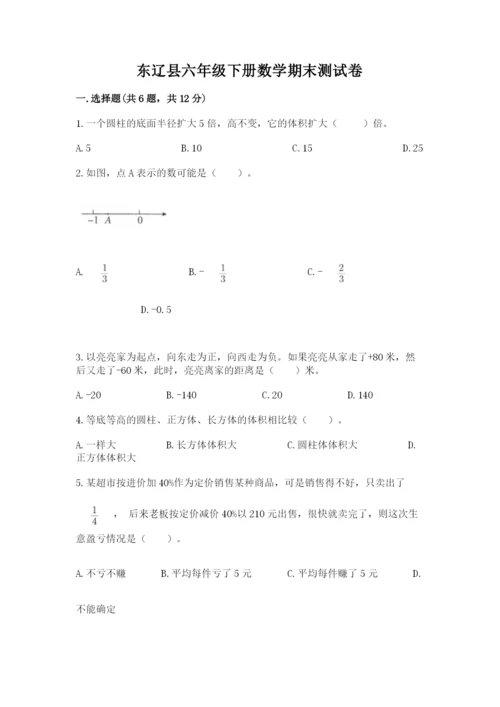 东辽县六年级下册数学期末测试卷（夺冠系列）.docx