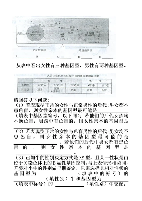 2015年内蒙古普通高中学业水平测试生物考试试卷模板