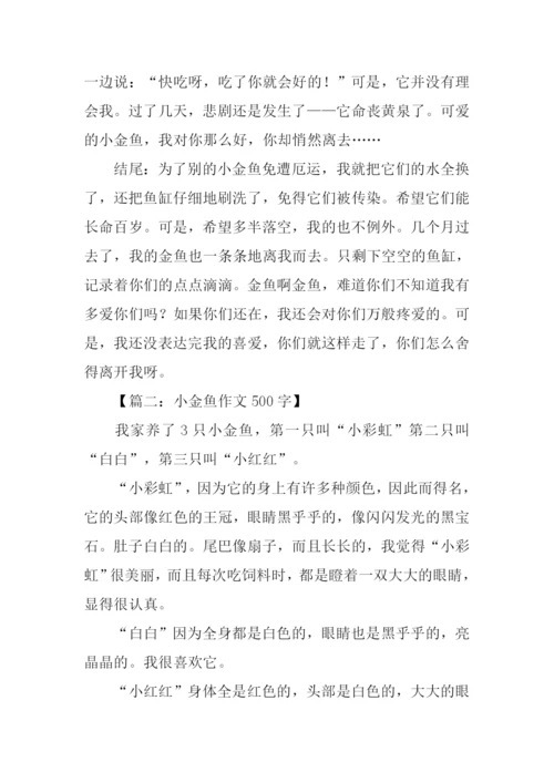 小金鱼作文结尾.docx