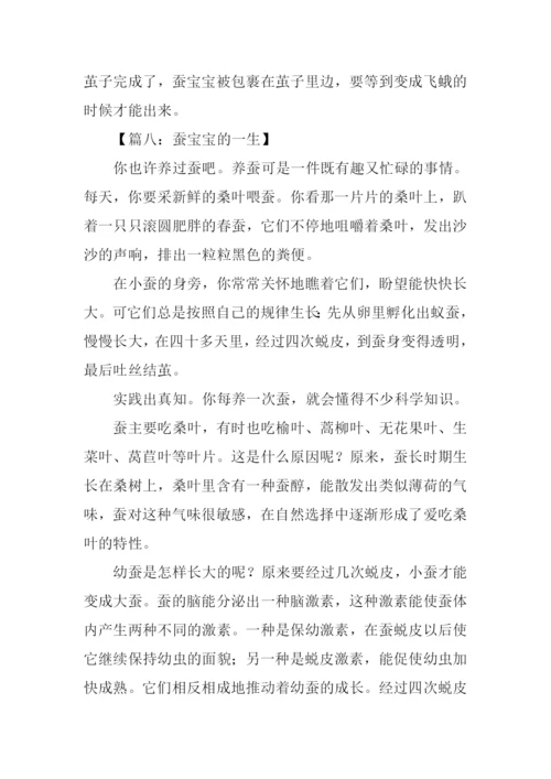 蚕宝宝的一生作文.docx