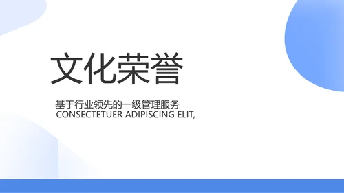 蓝色简约大气保险公司工作总结PPT
