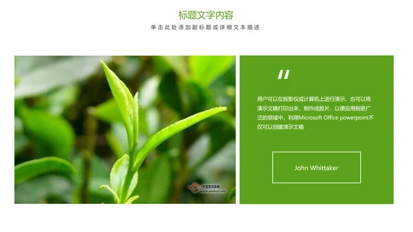 唯美清新绿色茶园茶艺茶文化品茶论道PPT模板