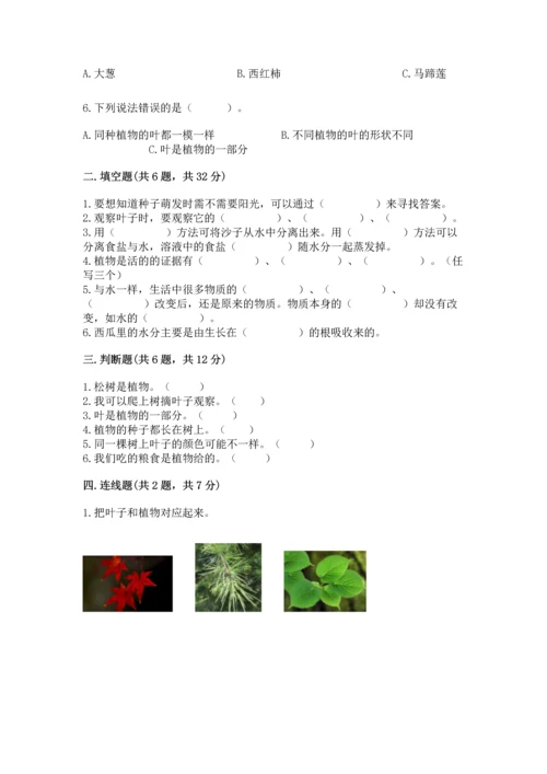 教科版科学一年级上册第一单元《植物》测试卷及答案（精品）.docx