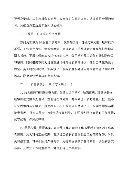 保安队长个人年终总结及计划范文模板