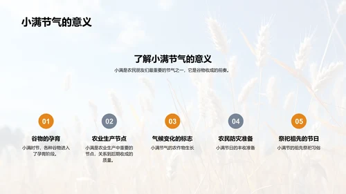 小满季节与农耕