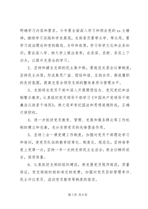 村支部年度工作计划.docx