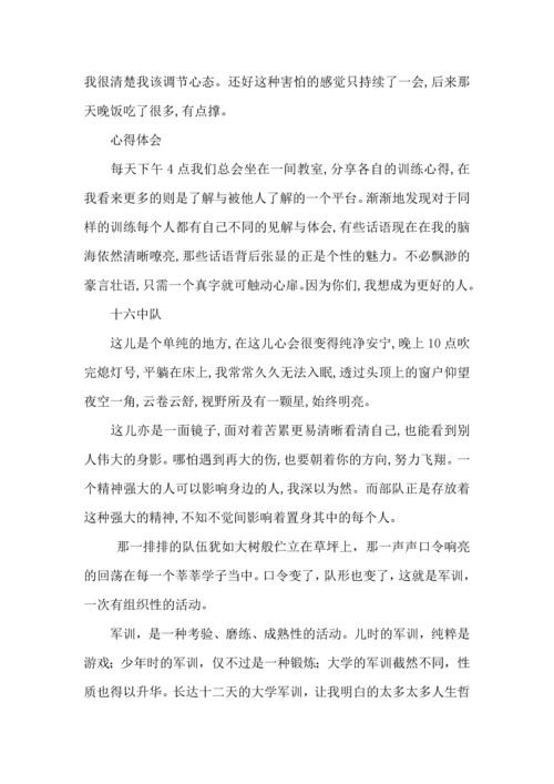 热门大学军训心得体会范文锦集七篇.docx