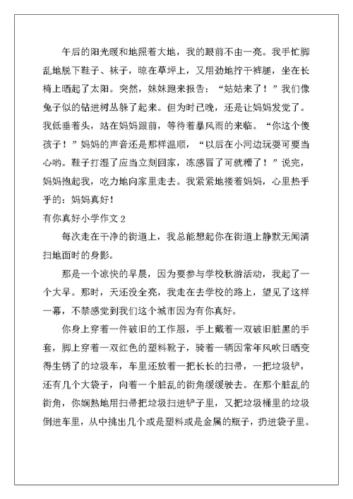 2022年有你真好小学作文(精选15篇)