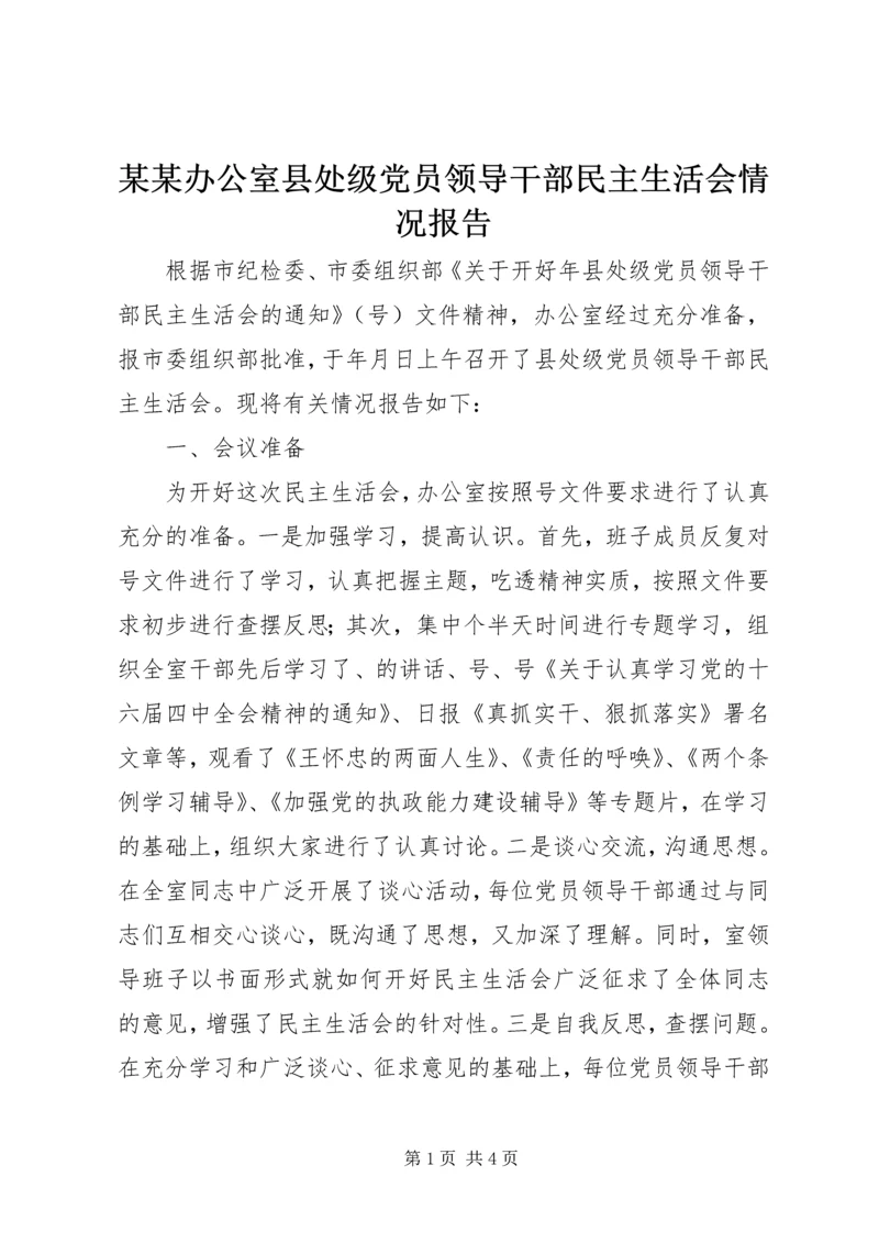 某某办公室县处级党员领导干部民主生活会情况报告 (4).docx