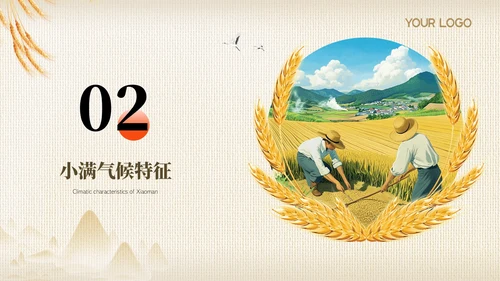 黄色节气之小满PPT模版
