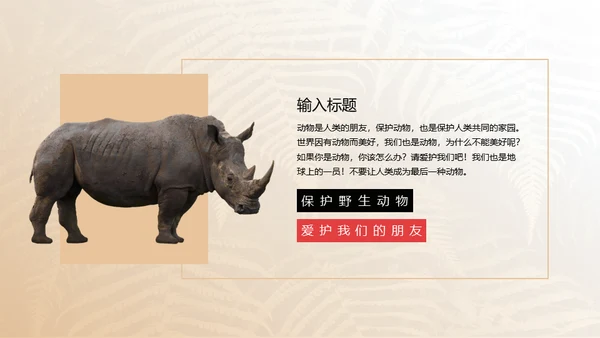 保护野生动物狮子通用PPT模板