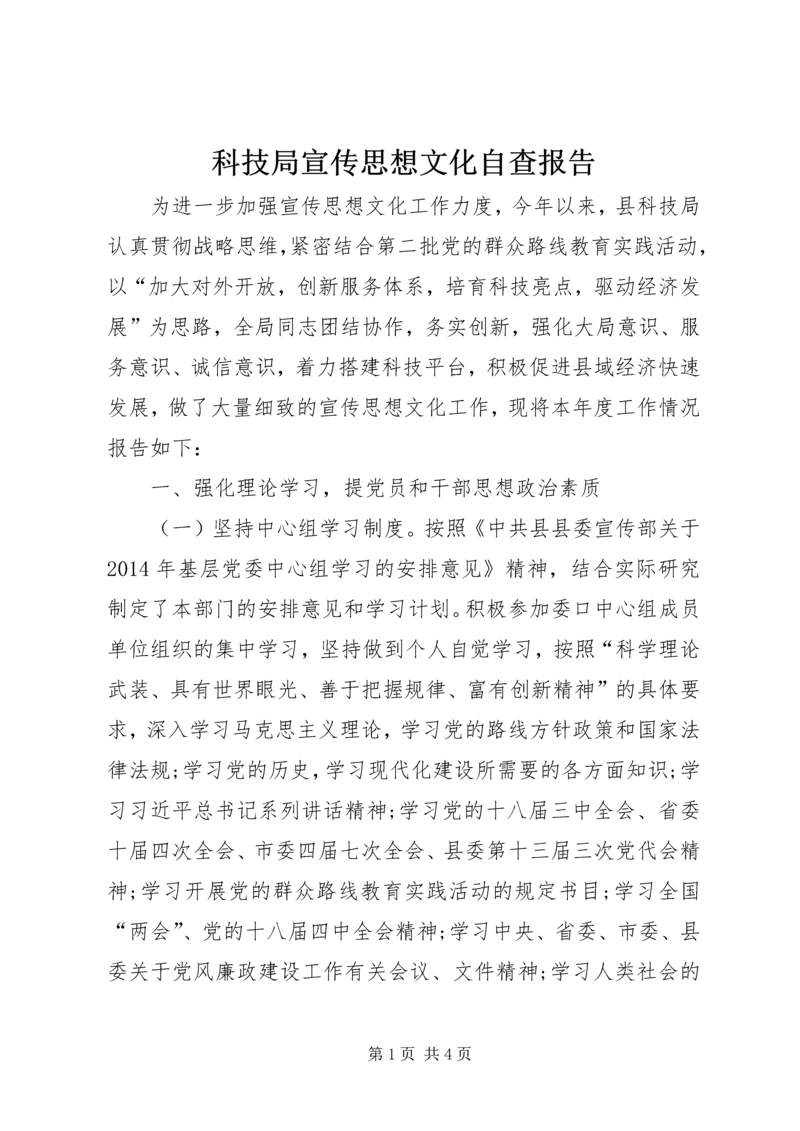 科技局宣传思想文化自查报告.docx