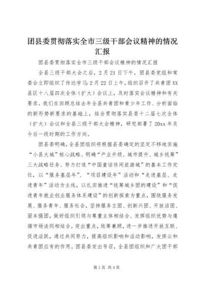 团县委贯彻落实全市三级干部会议精神的情况汇报.docx