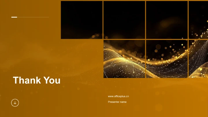 金融部门工作报告