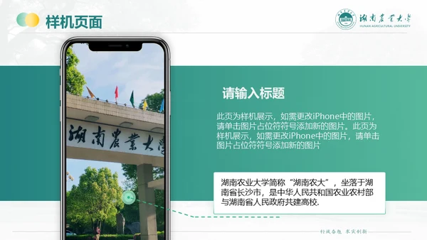 湖南农业大学毕业课题答辩通用PPT模板